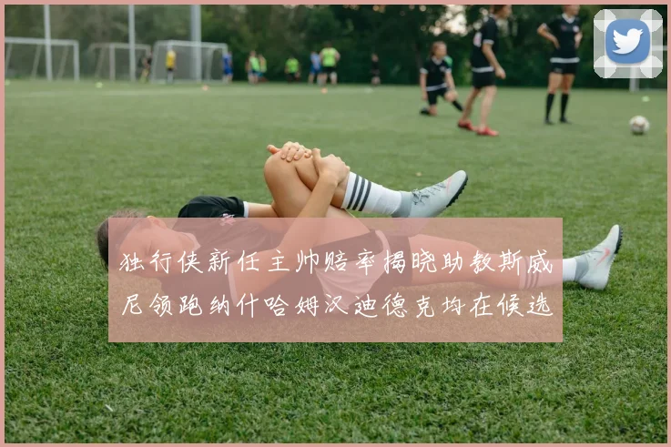 独行侠新任主帅赔率揭晓助教斯威尼领跑纳什哈姆汉迪德克均在候选之中