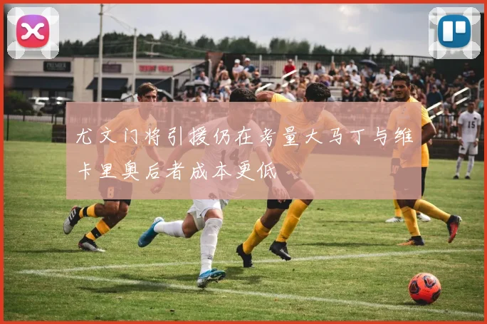 尤文门将引援仍在考量大马丁与维卡里奥后者成本更低